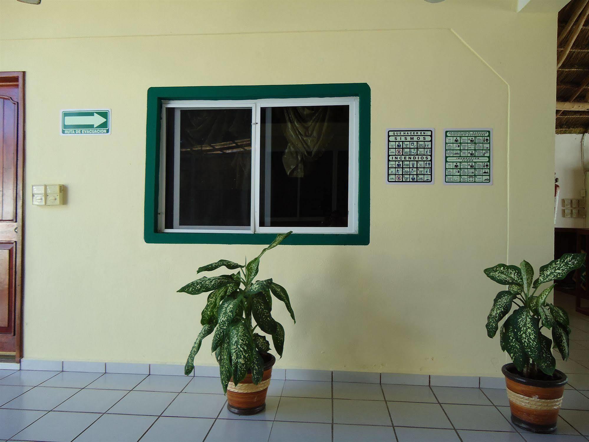 Oyo Hotel Palma Real Tulum Dış mekan fotoğraf